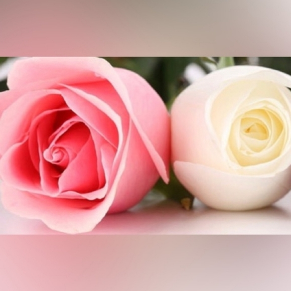 Meet your Posher, mybestwishes2u ๐น - Picture 8 of 11